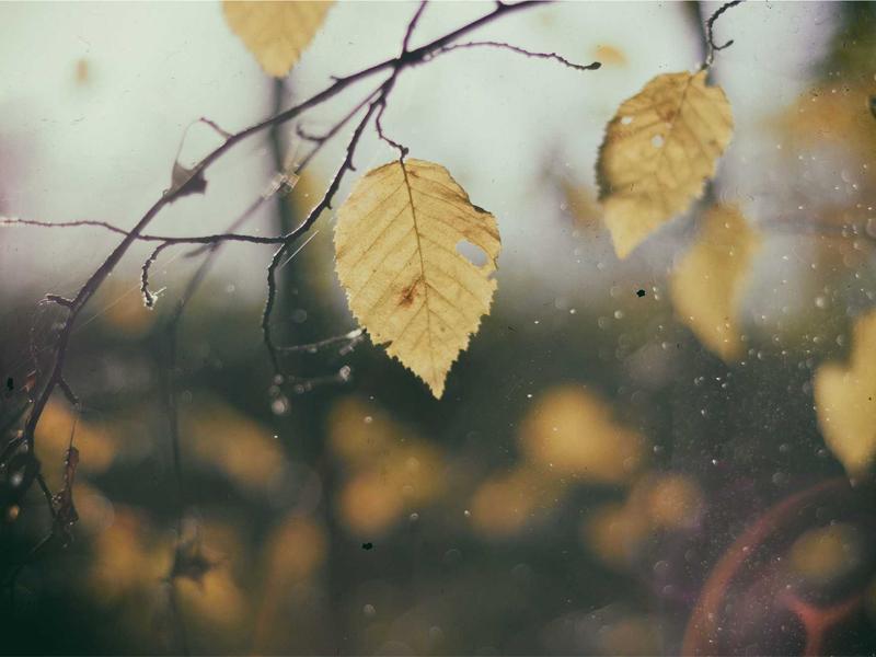 数据捕手<br>频道/群组信息结构化抓取